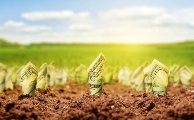 Rolled up dollar bills planted in rich soil